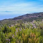 Blick von La Palma zu den Inseln Teneriffa und La Gomera 