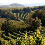 Blick von Leistadt auf den Michelsberg in Bad Dürkheim