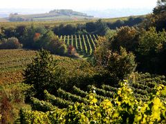 Blick von Leistadt auf den Michelsberg in Bad Dürkheim