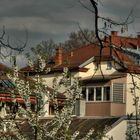 Blick von meinem Balkon