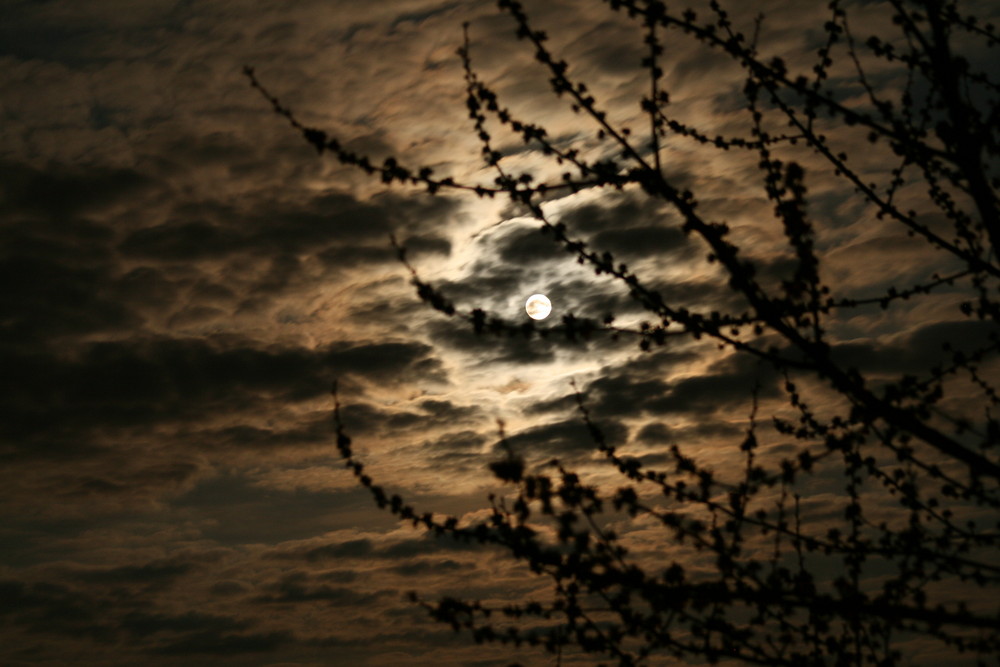 Blick von meinem Balkon bei Vollmond