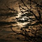 Blick von meinem Balkon bei Vollmond