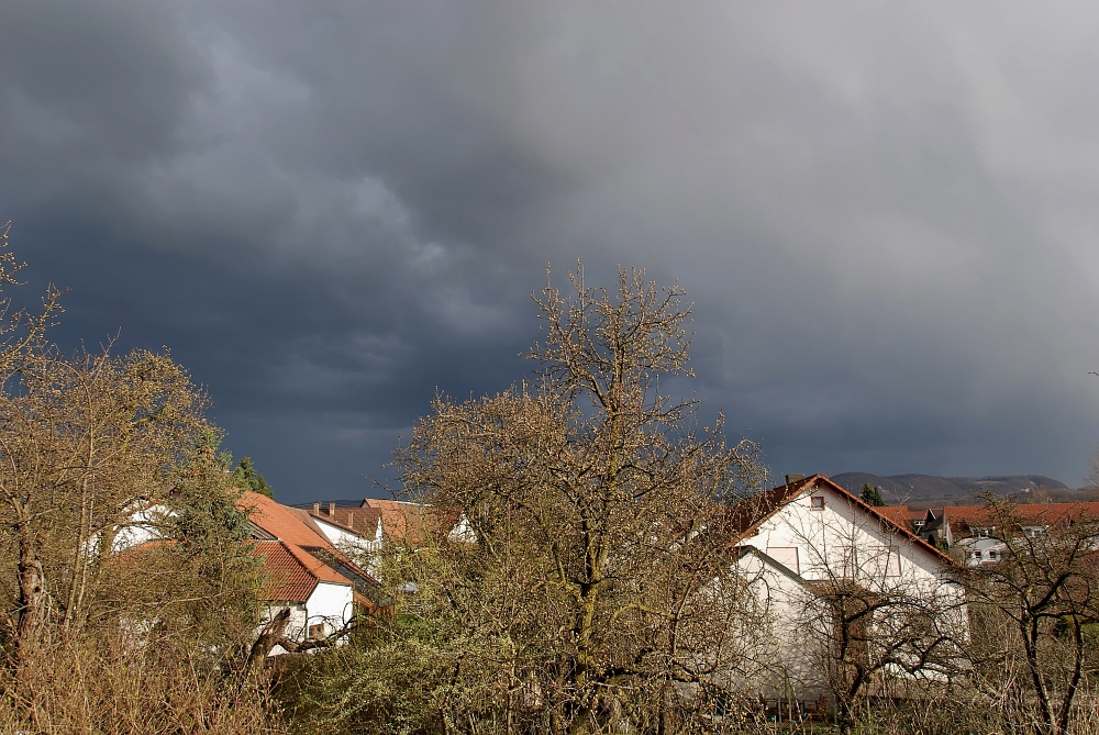 Blick von meinem Balkon I