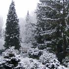 Blick von meiner Terrasse