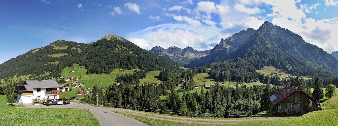 Blick von Mittelberg ins Wildental