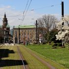 Blick von Möltkestraße Richtug Zentrum 