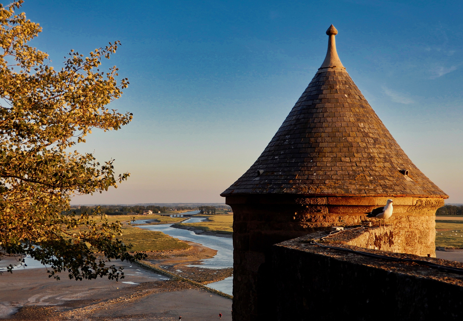 Blick von Mont-Saint-Michel am Abend