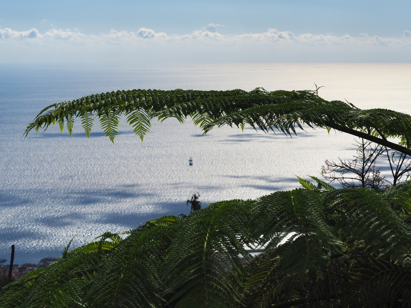 Blick von Monte Palace Madeira