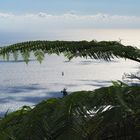 Blick von Monte Palace Madeira