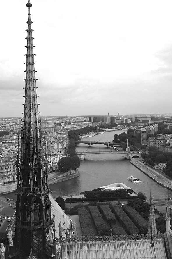 Blick von Notre Dame auf die Seine