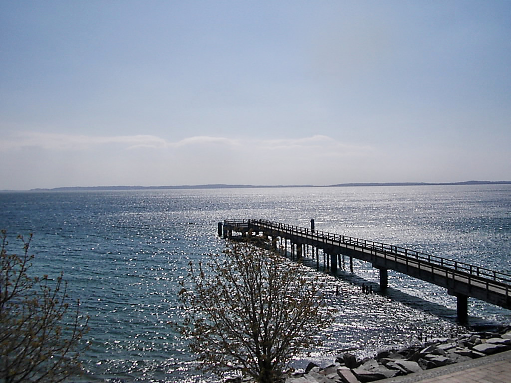 Blick von oben auf die Hafenanlage von Sassnitz (Insel Rügen)