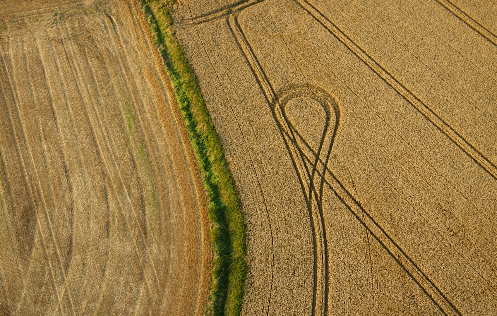 Blick von oben... Das Kornfeld wirkt wie ein Teppich.