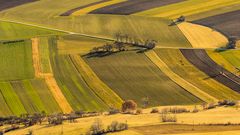 Blick von Oben II