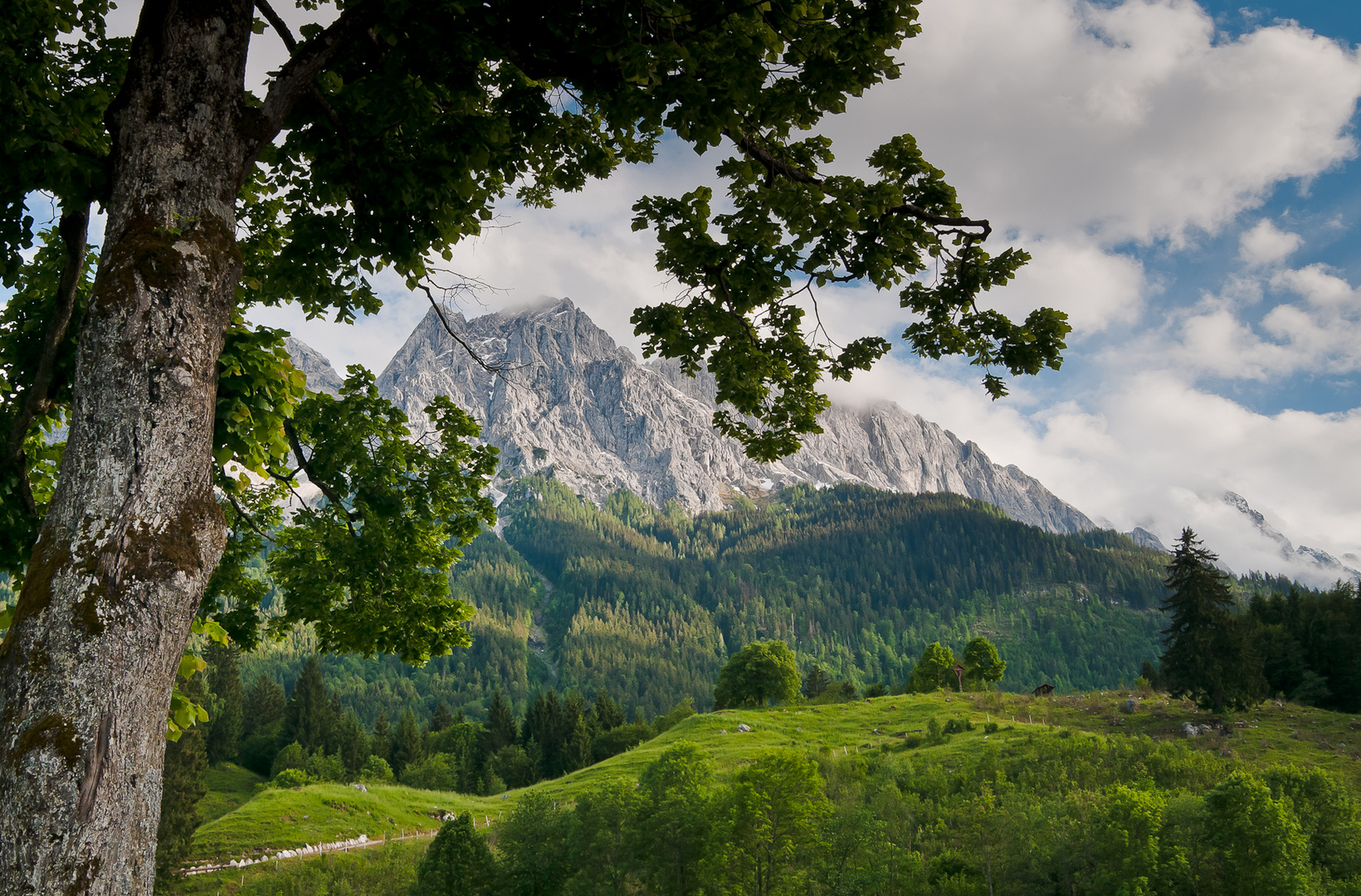 Blick von Obergrainau Richtung Alpen