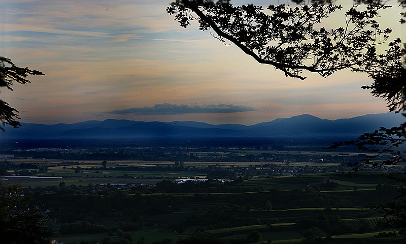 Blick von Oberweier zu den Vogesen