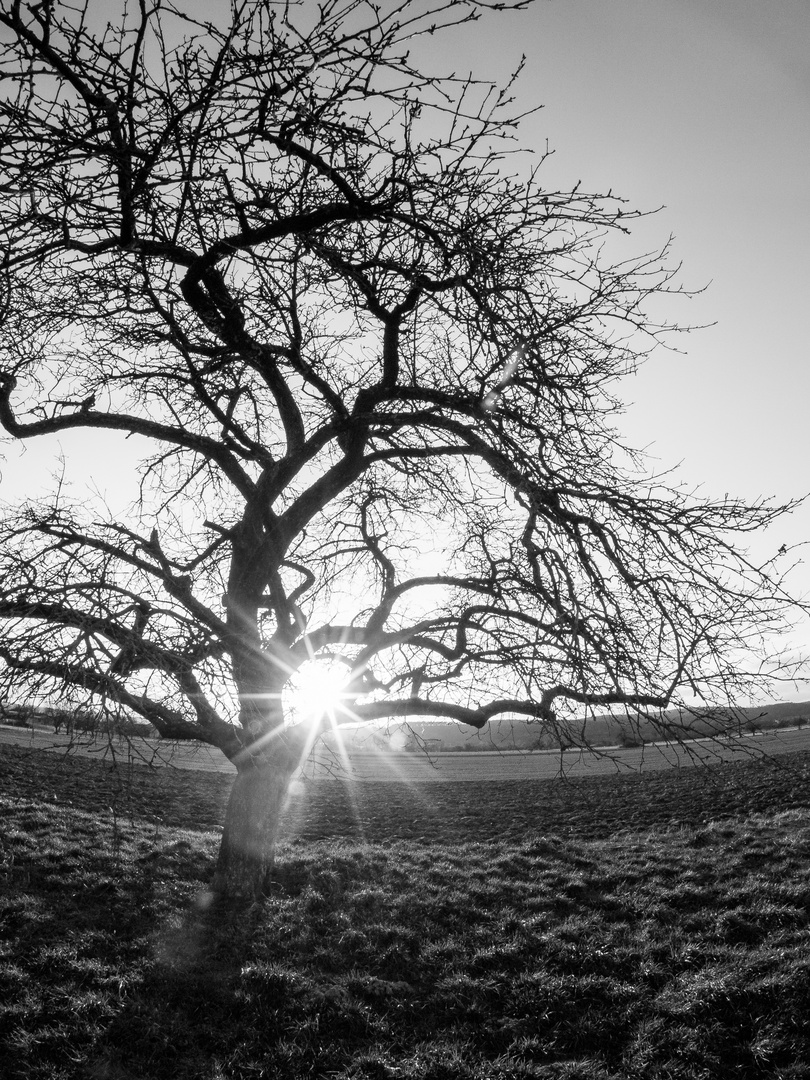 Blick von Osten