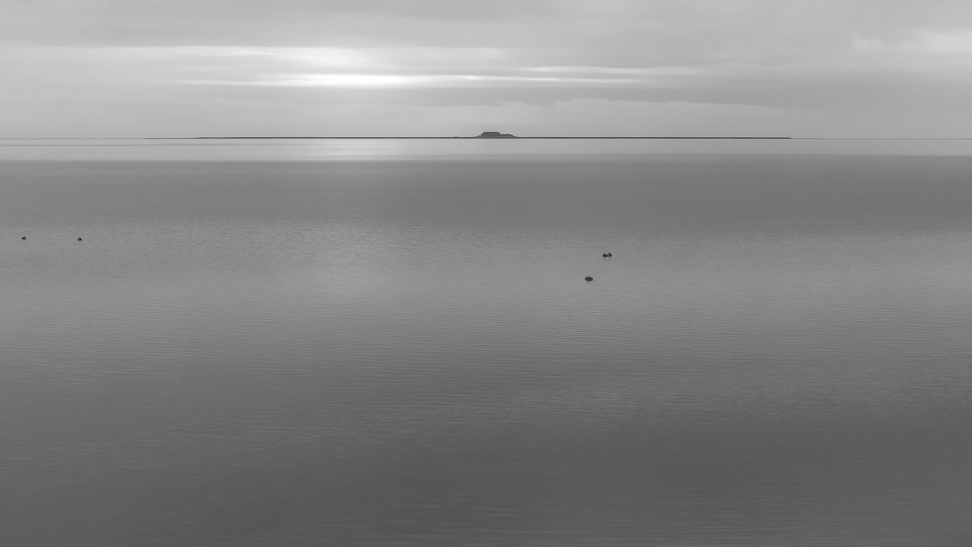 Blick von Pellworm zur einer Hallig