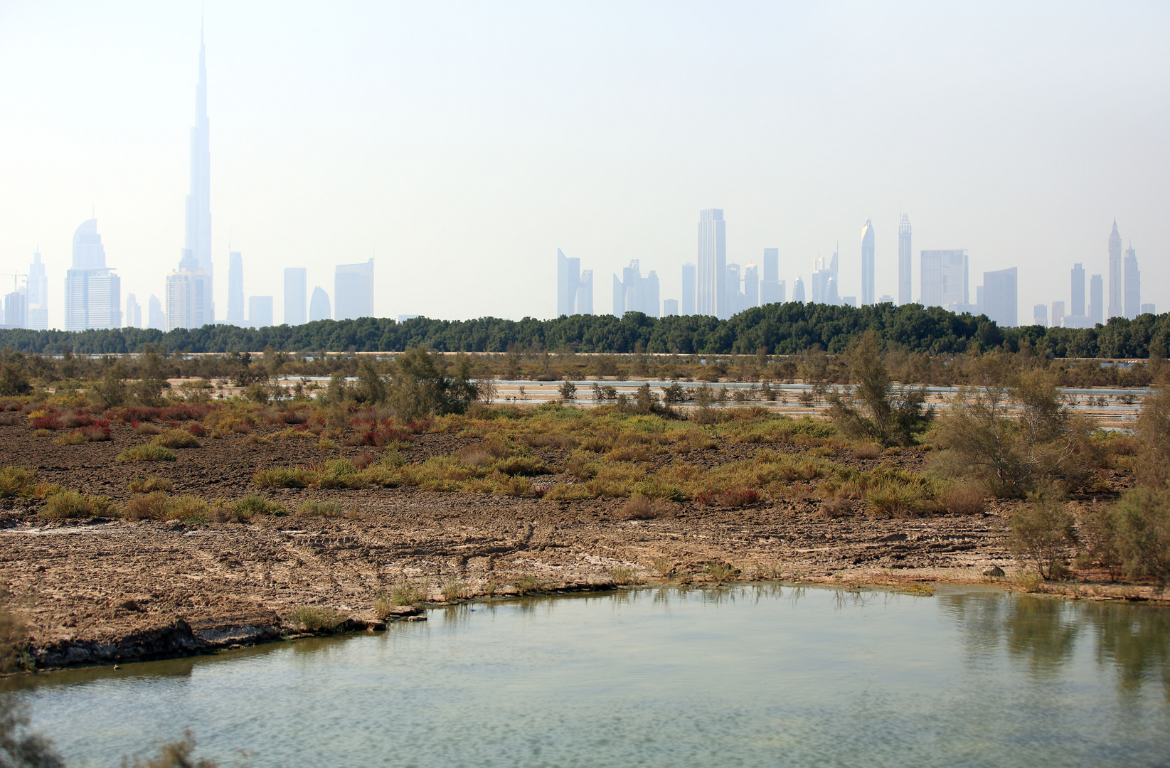 Blick von Ras al Khor auf Dubai City