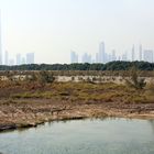 Blick von Ras al Khor auf Dubai City