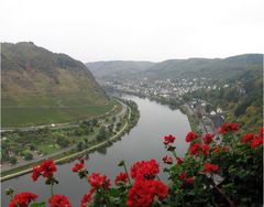 Blick von Reichsburg Cochem auf die Mosel