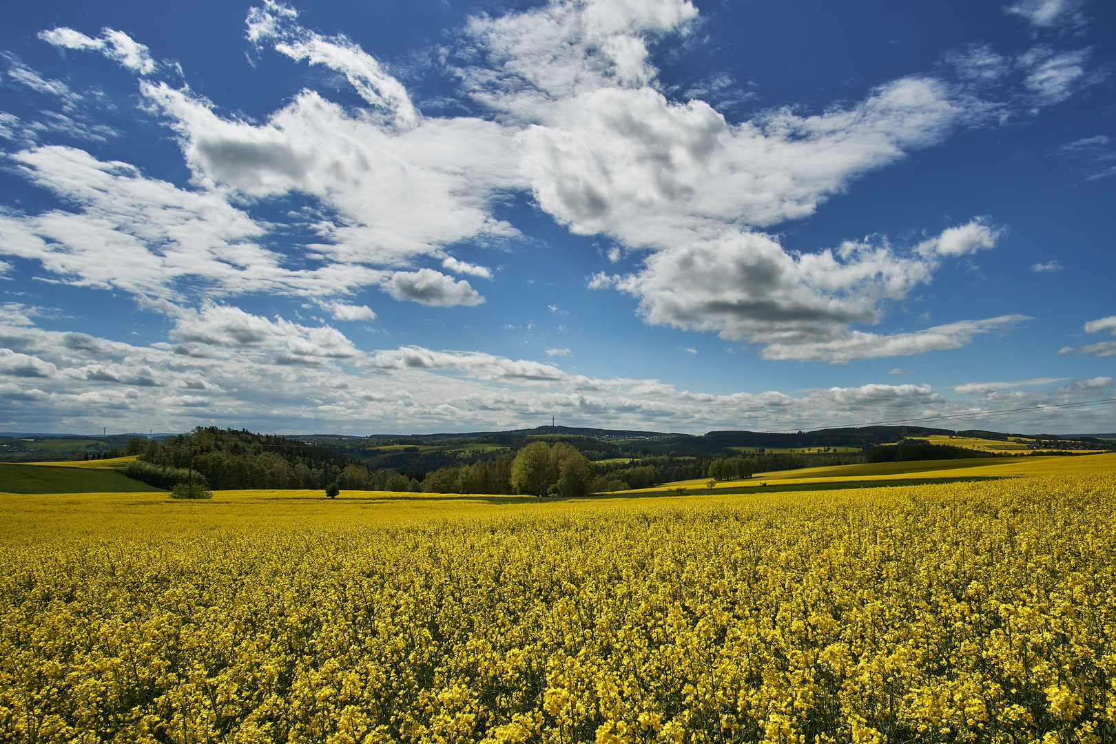 Blick von Reinsdorf in Richtung Kuhberg