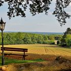 Blick von Reken in den Naturpark Hohe Mark, Westmünsterland