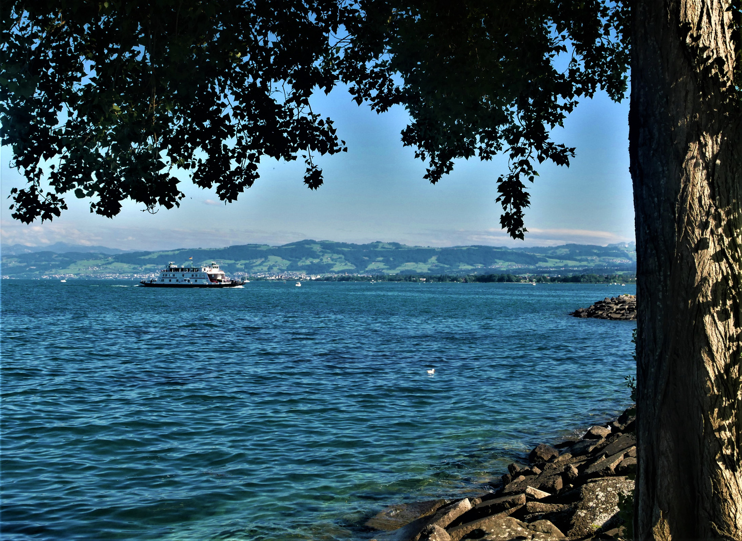 Blick von Romanshorn auf die Fähre und das Alpenvorland