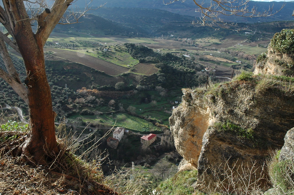 Blick von Ronda (Andalusien)