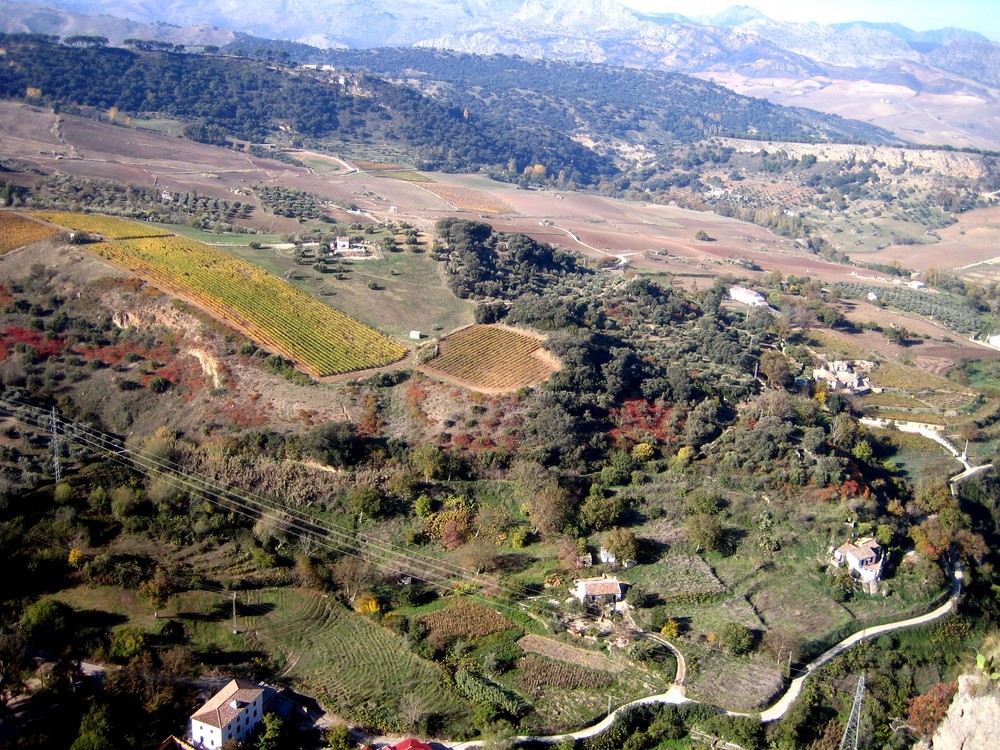 Blick von Ronda (Weiße Dörfer)