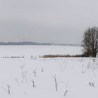 Blick von Rügen Richtung Stralsund