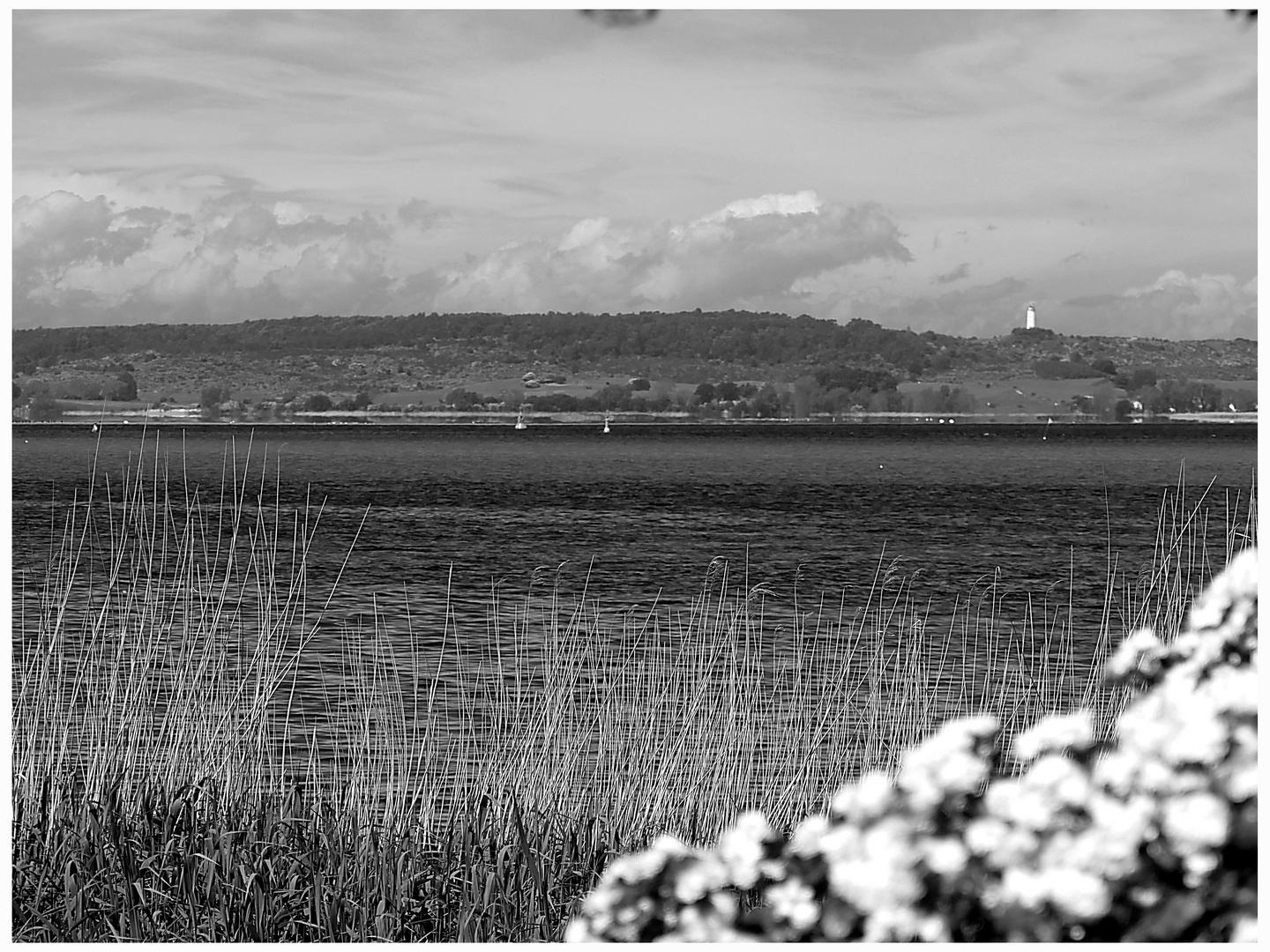 Blick von Rügen zum brennden Dornbusch