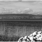 Blick von Rügen zum brennden Dornbusch