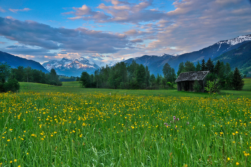 Blick von Saalfelden Richtung Hohe Tauern