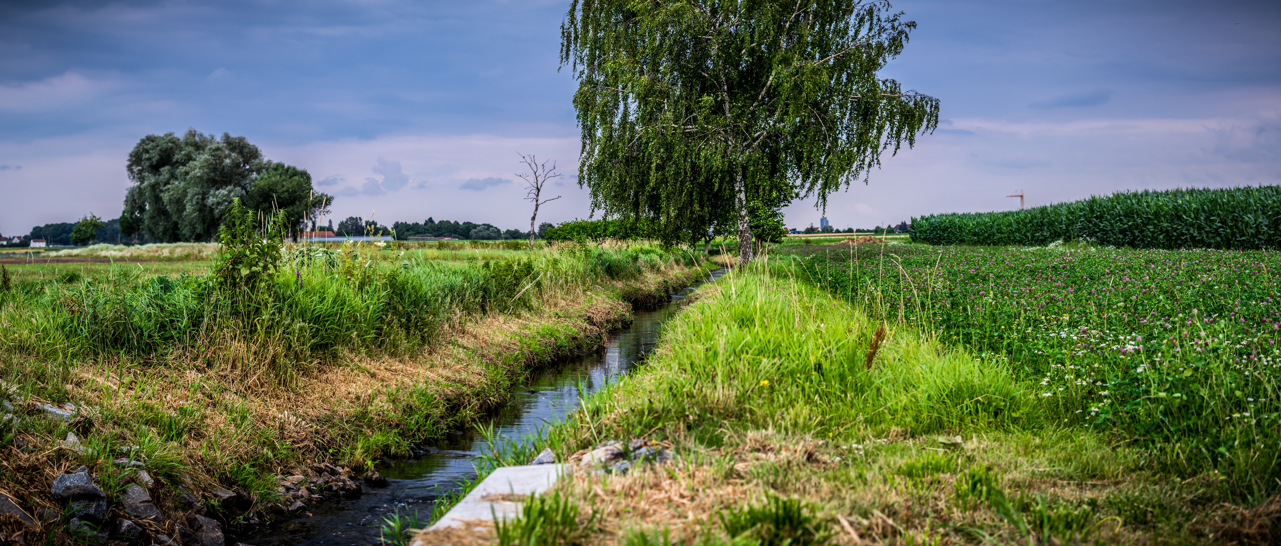 * Blick von Sack nach Nürnberg