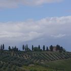 Blick von San Gimignano