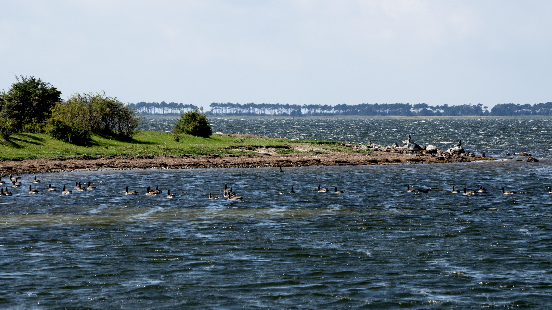 Blick von Schaprode  auf Hiddensee