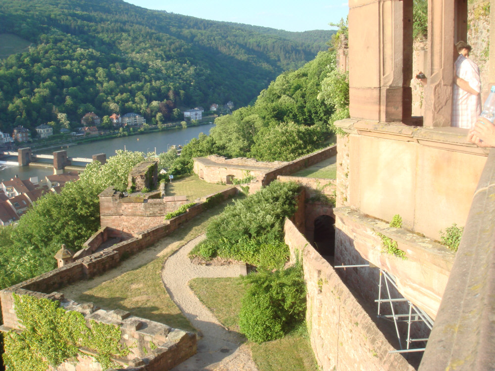 Blick von Schloss Heidelberg