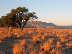 Blick von Sossusvlei Lodge