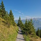 Blick von Stanserhorn