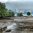 Blick von Sungei Buloh auf Johor Bahru