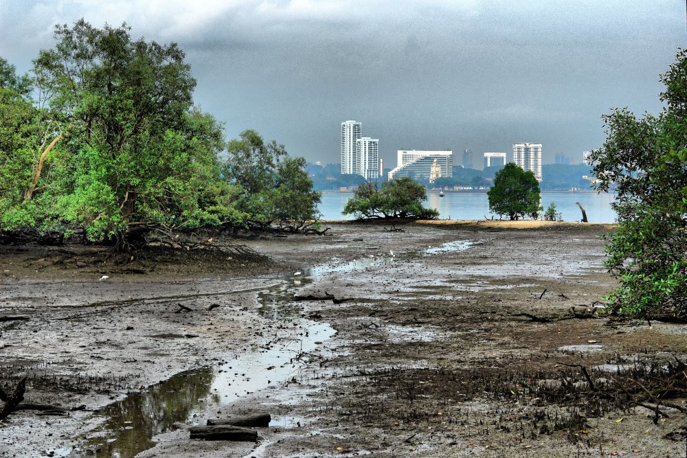 Blick von Sungei Buloh auf Johor Bahru