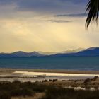 Blick von Tarifa auf Afrika