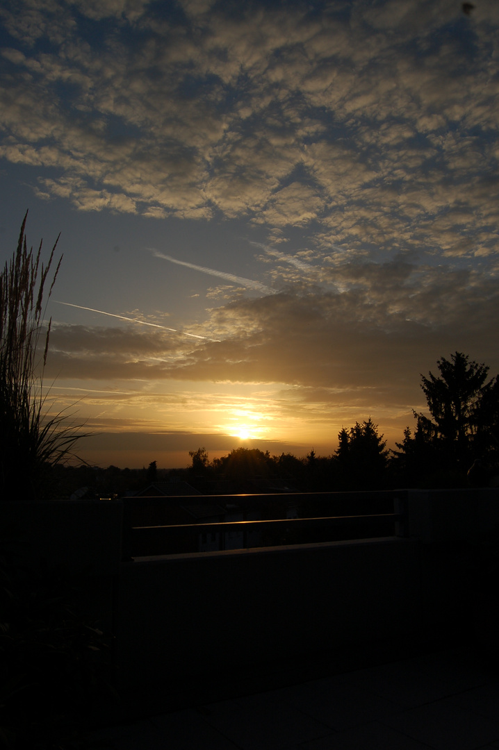 Blick von Terrasse