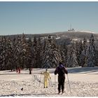 Blick von Torfhaus auf den Brocken