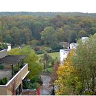 Blick von unserem Balkon auf den Herbstwald