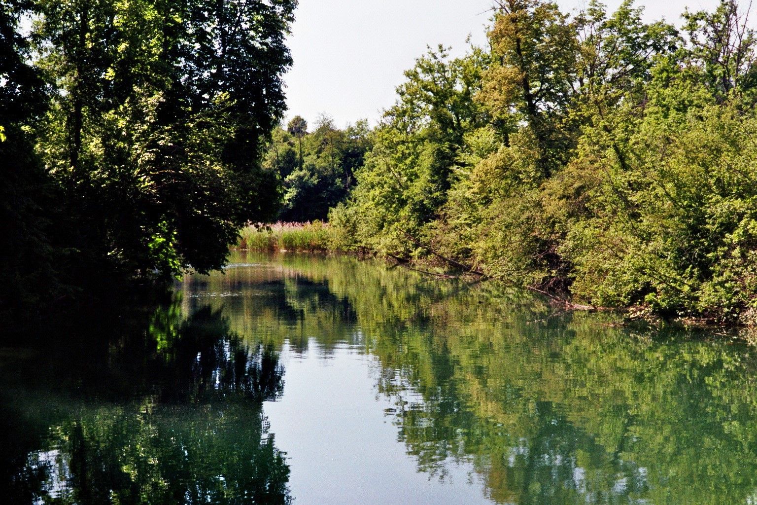 Blick von unserem Lieblings-Limmat-Inseli