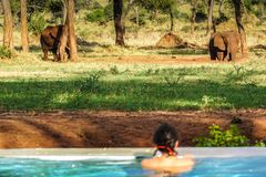 Blick von unserem Pool auf das Wasserloch