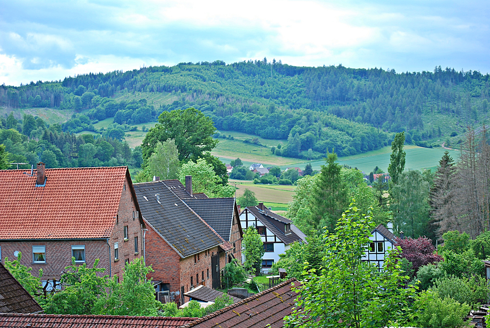 Blick von unserer Patenbank...