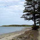 Blick von Victor Harbor auf Granite Island