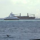 Blick von Vlissingen nach Brekens